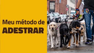 O meu método de ADESTRAR CACHORROS [upl. by Meehar]