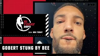 Rudy Gobert STUNG BY A BEE 🐝  NBA Today [upl. by Udenihc451]