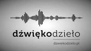 Hallelujah org L Cohen  Dźwiękodzieło Instrumental Podkład [upl. by Dlanar]