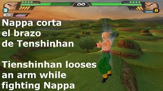 Nappa breaks Tienshinhans arm Dragon Ball Z Tenkaichi 3  Arm Break Mod [upl. by Penthea]