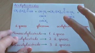 Acilglicéridos  Biología Lípidos [upl. by Jezabella]