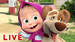 🔴 LIVE STREAM 🎬 Masha and the Bear 🐻👱‍♀️ The secret life of Mashas pets 🐷🐇 [upl. by Ynatil]