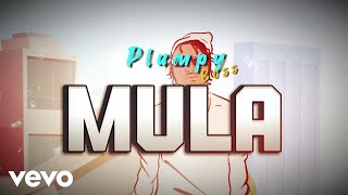 Plumpy Boss  Mula Visualizer [upl. by Sheffield]