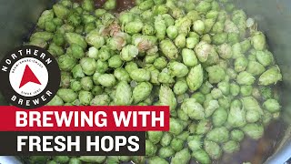 How to Homebrew with Fresh Hops [upl. by Enyrhtac]