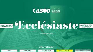 « Ecclésiaste »  LAncien Testament  La Sainte Bible audio VF Complète [upl. by Wally916]