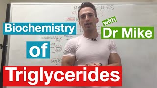 Fatty Acid Synthesis Pathway Overview Enzymes and Regulation [upl. by Walther]