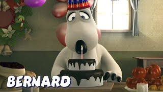 Bernard Bear  Birthday Cake AND MORE  Cartoons for Children  Full Episodes [upl. by Amati]