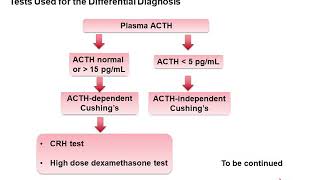 ACTH and Cortisol [upl. by Aranaj]