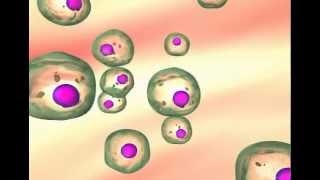 Carcinogenesis The transformation of normal cells to cancer cells [upl. by Middleton112]