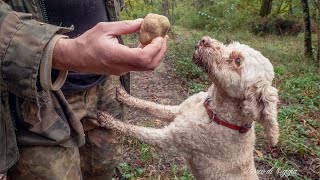 RICERCA DEL TARTUFO BIANCO I SEGRETI DEL TARTUFAIO [upl. by Millburn]