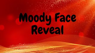 Moody unicorn twin face reveal maybe her or not [upl. by Jozef]