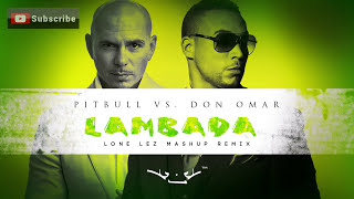 Lambada  Pitbull vs Don Omar Lonelez Remix [upl. by Leinad77]