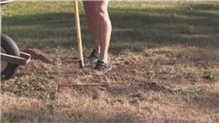 Grass amp Lawn Maintenance  How to Plant Rye Grass Seed [upl. by Atinauj47]