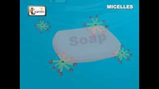 Soap Micelles Formation  Science [upl. by Liagibba704]