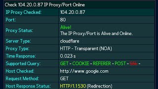 Tutorial How to Check IP Proxy and Port to Host Online [upl. by Einneg]