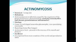 Actinomycosislumpy jaw [upl. by Onig]