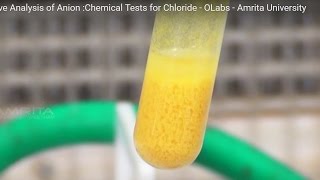 Chemical Tests for Chloride  MeitY OLabs [upl. by Eelaroc]