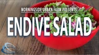 How to Make Endive Salad [upl. by Wiersma]