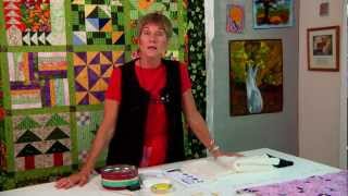 Correct Safety Pins for Basting from Machine Quilting with Wendy Bulter Berns [upl. by Nickolaus]