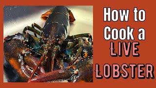 How to Cook a Live Lobster shorts [upl. by Maze]