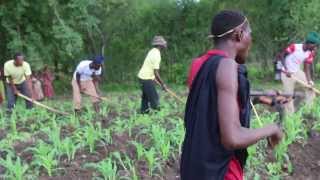 Tanzania Sukuma Bachonga Magembe working in the fields [upl. by Germann]