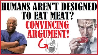 Humans Are Not Designed To Eat Meat Convincing Argument [upl. by Jonathon]