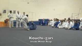 15 BASIC JUDO THROWS  LA VALLEY COLLEGE [upl. by Utimer584]