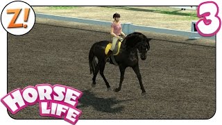 Horse Life  Freunde für immer Erste Dressuraufgaben 3  Lets Play ★ GERMANDEUTSCH [upl. by Boynton]