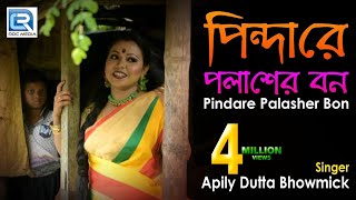 Pindare Polasher Bon  পিন্দারে পলাশের বন  Bengali Jhumur Dance Song  Apily Dutta Bhowmick [upl. by Reldnahc805]