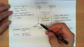 Inputoutput subsystem in computer systems [upl. by Cohen282]