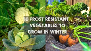 10 Frost Resistant Vegetables to Grow in Winter [upl. by Glanti77]