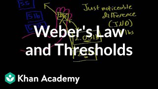 Webers law and thresholds  Processing the Environment  MCAT  Khan Academy [upl. by Culhert85]