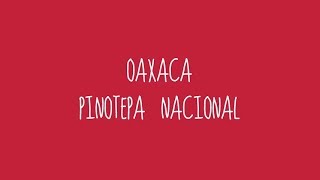 Oaxaca  Pinotepa Nacional Audio [upl. by Eiramanin]