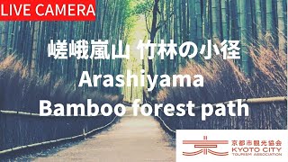 【LIVE】京都 嵯峨嵐山 竹林の小径ライブ中継カメラ（京都市観光協会公式）／Bamboo forest path Kyoto Live camera [upl. by Levania]