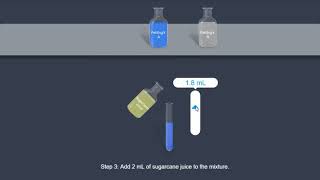 Sucrose Fehling test [upl. by Ramburt587]