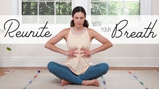 Reunite With Your Breath  19Minute Breath Practice [upl. by Raffo]