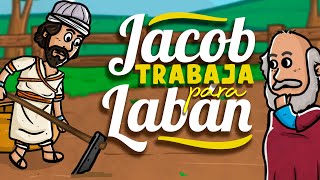 Jacob trabaja para Labán ⛏️🕗  Historia de la Biblia  Mi Primera Biblia  13 [upl. by Leiser]