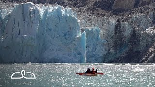 Endicott Arm amp Dawes Glacier  Alaska [upl. by Reel937]