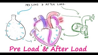 Preload amp Afterload [upl. by Nivlam]