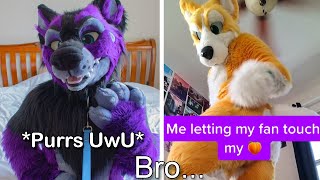 Tiktok Furries SCARE ME [upl. by Oberg]