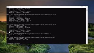 How to Find NET Framework Version Installed in Windows 10 [upl. by Yrrot]