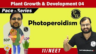 Plant Growth and Development 04  Photoperoidism  Class 11  Pace Series  NEET [upl. by Leifeste218]