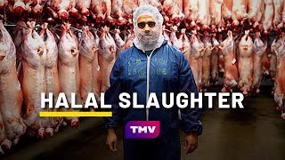 What is HALAL SLAUGHTER QURBANI  Halal Meat Farm 🐑  Being Muslim [upl. by Gwenore434]