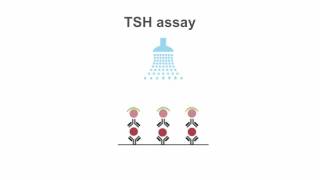 Mastering TSH assays [upl. by Haridan247]