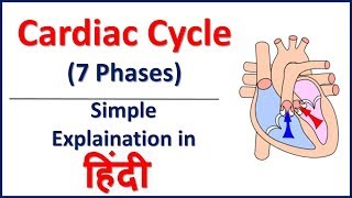 Cardiac Cycle 7 Phases Simple Explaination in Hindi  Bhushan Science [upl. by Furr]