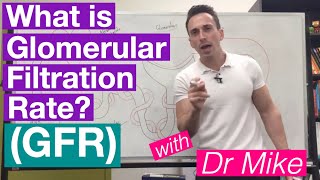 Glomerular Filtration Rate GFR  Renal System [upl. by Publius]