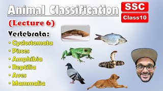 Animal Classification Lecture 6  Sub phylum VertebrataAll Classes  Class 10  SSC  state board [upl. by Akselaw980]