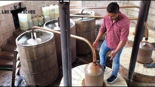 Producción de Mezcal Tour Destilería Los Danzantes [upl. by Naahsar]