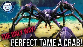 Ark Tutorial The Only Way to Perfect Tame a Crab Karkinos  Aberration  Ark Survival Evolved [upl. by Phineas]