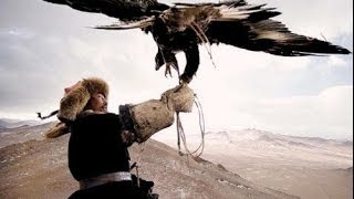 CACCIANDO  Caccia in Mongolia Eagles vs Wolves amazing hunt [upl. by Nauqet218]